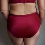 Трусы высокие Kris Line RUBIN Briefshighwaist
